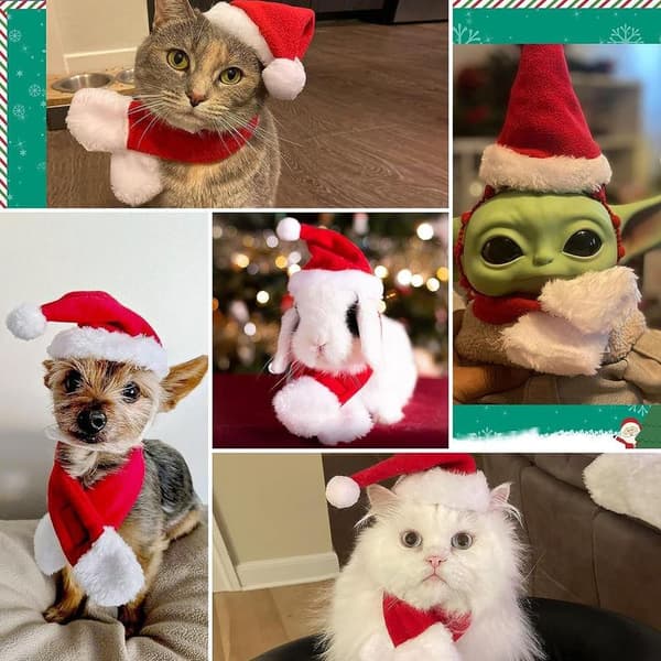 Jultomtekläder för katt, tomteluva och halsduk