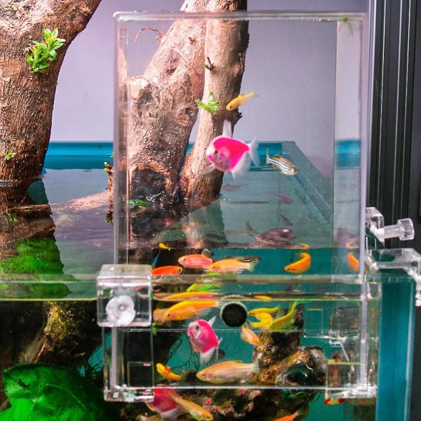 Akvarium Vakuum Fisketårn Over Vandet Med Snaps Fisketank Dekoration Transparent Udvidet Svømmeområde Akvarium
