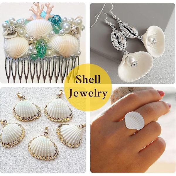 Små sjøskjell til dekorasjon, 330g 140~160stk Bulk Tiny Seashells For Crafting 1/2\" - 1 1/4\", Naturlige kamskjellskjell til håndverk, Hjemmedekor Vase Fi