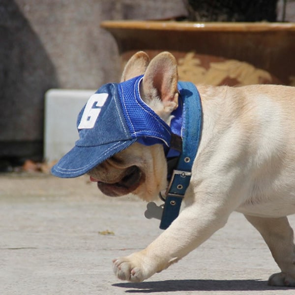 Pet Dog Hat Justerbar Pustende Baseball Cap Sport Cap Outdoor Solbeskyttelse Hunde Hat Med Ørehull Blue M