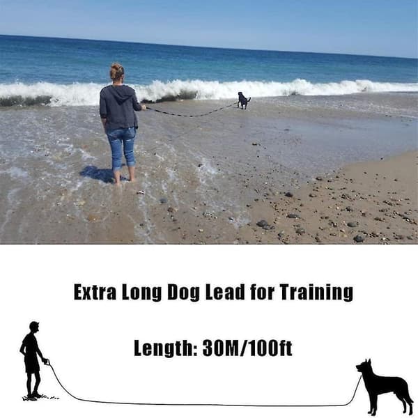 30m Extra Long Dog Training Leash Durable Long Line Dog Leash[YDE]