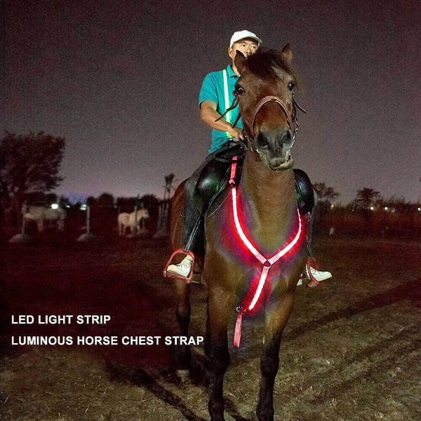 Sele Heste Webbing Led Lights Night Safety Bælte Ridning Udstyr Red