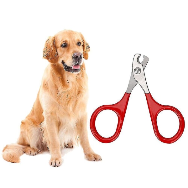 Hundkloklippare Hundsax Naglar Husdjursklovårdsverktyg Kattnagelverktyg Husdjursprodukter (1 stycke, röd)