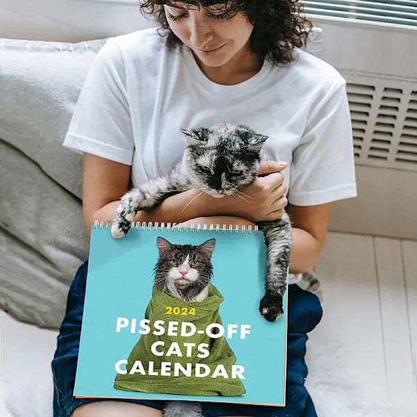 2024 Arg kattkalender Rolig väggkonstkalender Förbannade katter HA
