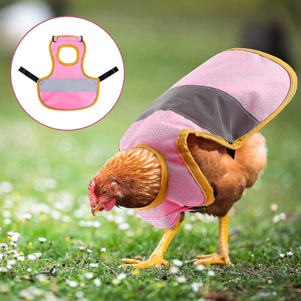 3 stk. hønserefleksvest justerbar kyllinge sele gå kylling hønseforklæder til høns fjerbeskyttelse 3Pcs Pink