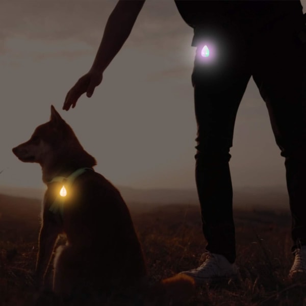 Pack Of 2 Waterproof Led Dog Lights With Usb Rechargeablewhite Orange, For Walking At Night, Attach To Collar, Leash Or Harness, Safety Light For Runn