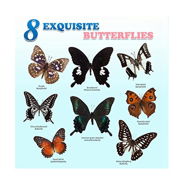 8 stk ægte sommerfugle-taxidermi - sommerfugle-taxidermi, kunstmateriale dekoration, taksidermi