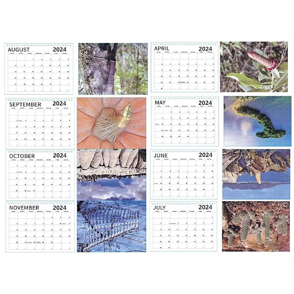 Nature's Cock Shots 2024 Kalender, Nature's Dicks Kalender 2024, Rolig Kalender, Skämt Present, Dicks Of Nature Väggkalender Prank Kreativ Gi