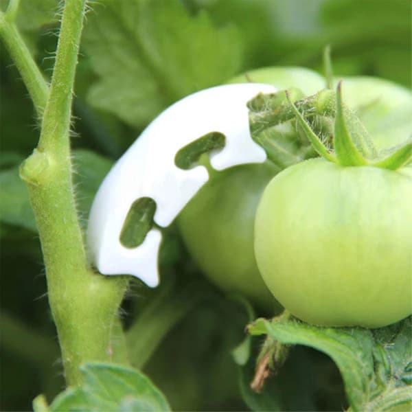 Rivningsbestandige havefastgørelsesværktøjer til støtte til tomatplanter