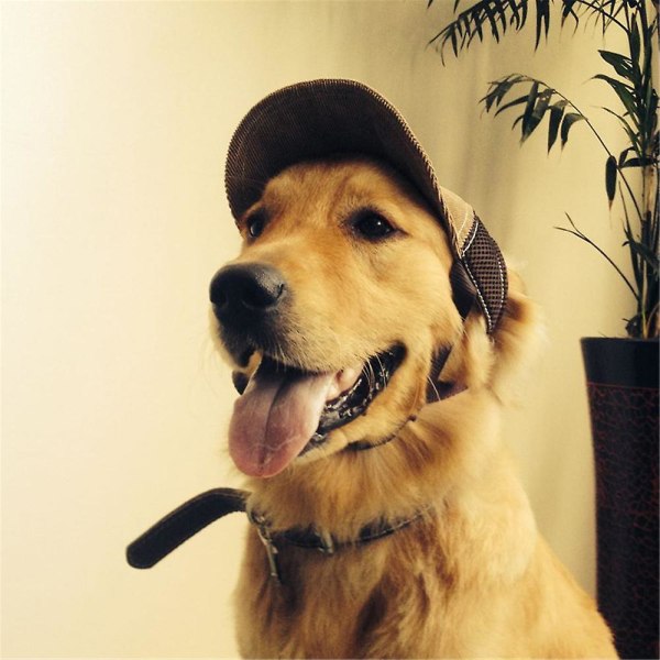 Pet Dog Hat Justerbar Pustende Baseball Cap Sport Cap Outdoor Solbeskyttelse Hunde Hat Med Ørehull Coffee M