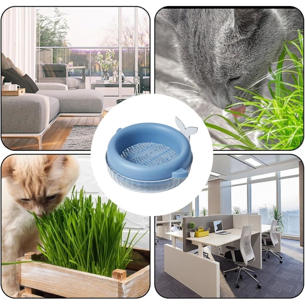 Kattgräsplantor för inomhuskatter - Planteringslåda för kattgräs, Jordfri kulturplanteringsbehållare för kattgräs, interaktiva leksaker för katthundar