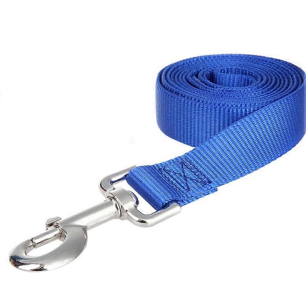 20M Lång Hundvalp Träning Lydnad Koppelleine (Blå) Blue
