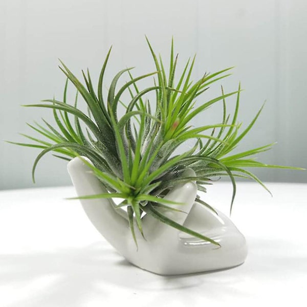3 st keramiska mini handformade luftväxt hållare tekopp stativ hem Tillandsia ställ