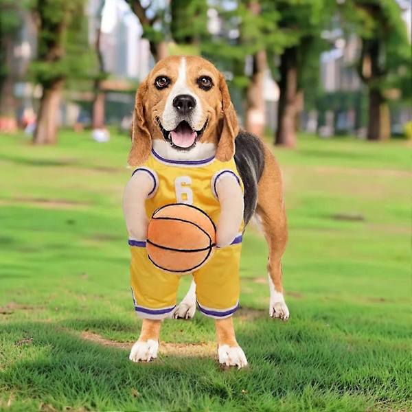 Basketbollshundkostym för Daglig Personlig Festivalfestkläder för Små och Mellanstora Hundar Red L