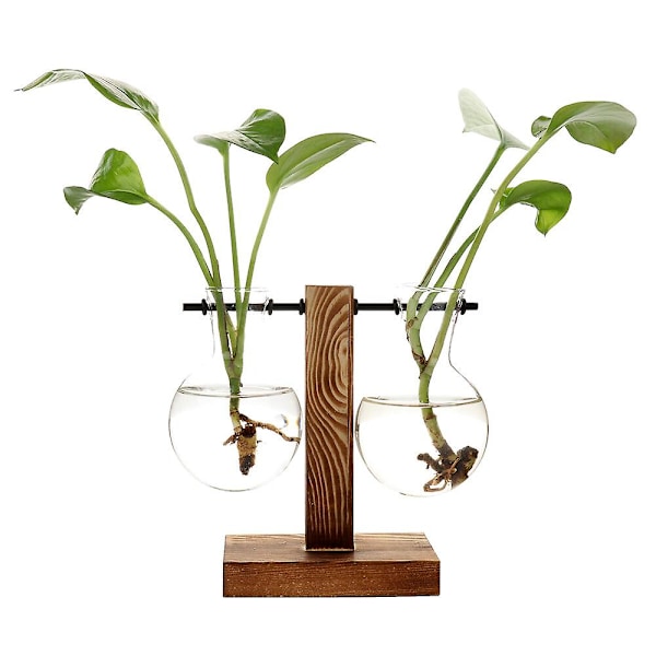 Spara 30 % Skrivbord Glas Planter Glödlampa Vas Glödlampa Växt Terrarium Retro Massivt Trä Stativ AU Wood A3