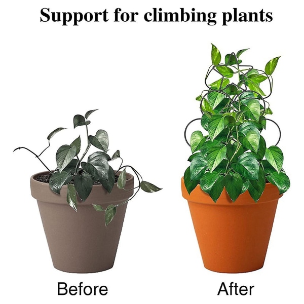 Metallväxter Klättring Spaljé Smidesjärn Bonsai Plant Support Hållare
