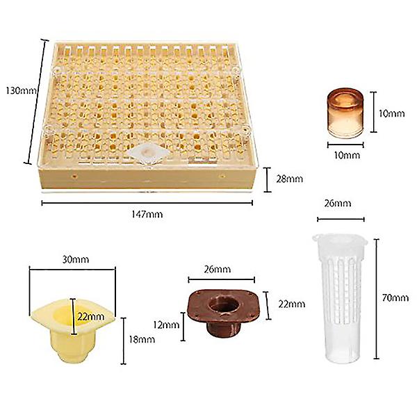 Mehiläishoitokuppisetti 100 solukuppia Mehiläistyökalusarja Kuningattarenkasvatusjärjestelmä Mehiläinen Täydellinen pyydystyshäkki Apicul Yellow  brown