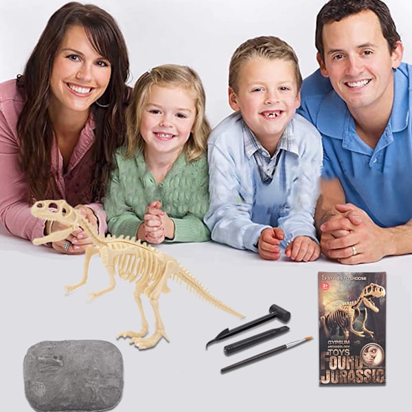 Gravning af dinosaur skelet sæt dinosaur gravning uddannelse realisering legetøj