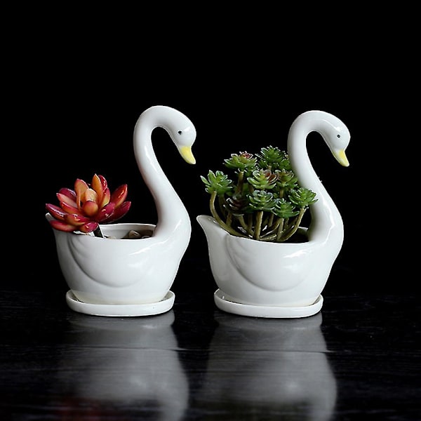 Hvid Svane Keramisk Blomsterpot Sukkulent Plante Blomsterpot Planter Desktop Hjem Off