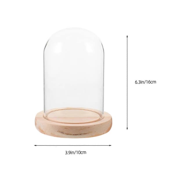 Konserveret Blomster Glas Kuple til Udsmykning Display Kuple med Træbase