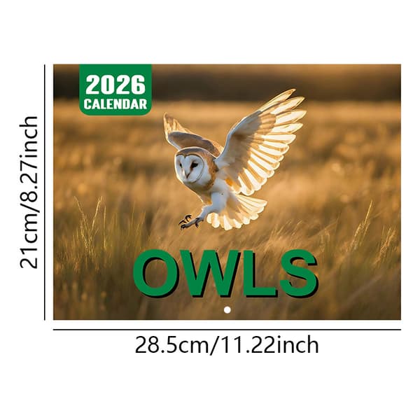 Kalender a4 spiral bordkalender a5 inderside kalender 2026