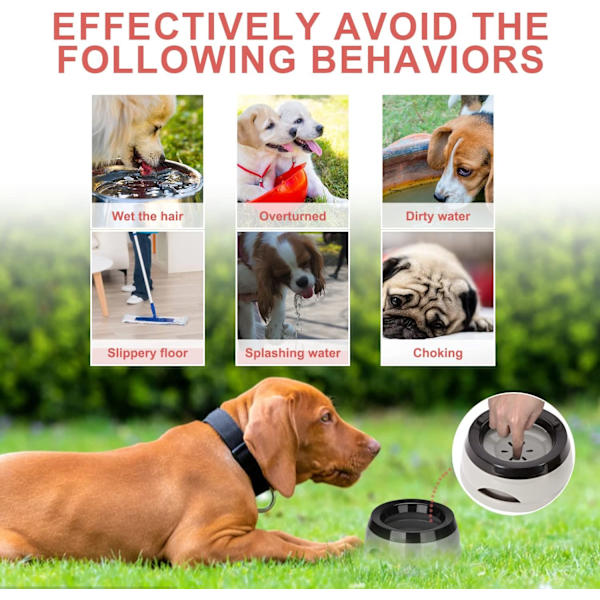 Flytande husdjursskål, Anti-Overflow, Kvävningssäker, Spill-Proof, för hund, katt, valp (Grå)