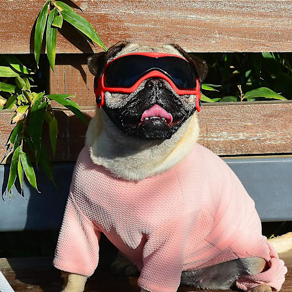 Hunde Goggles for små hunderaser Solbriller, enkle å bruke hunde UV-solbriller for små/mellomstore valper Red
