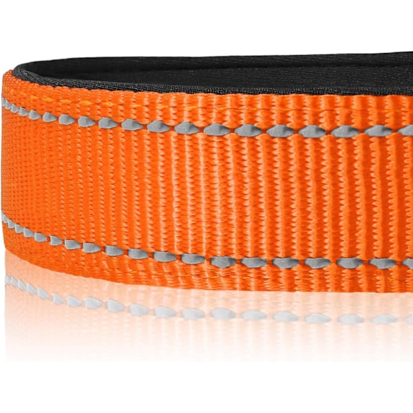 Heijastava koiranpanta, pehmeä neopreenipehmustettu hengittävä nailoninen lemmikkipanta säädettävä keskikokoisille koirille, M, oranssi Purple xl