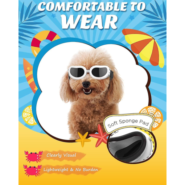 Hundsolglasögon UV-skyddsglasögon Ögonskydd white