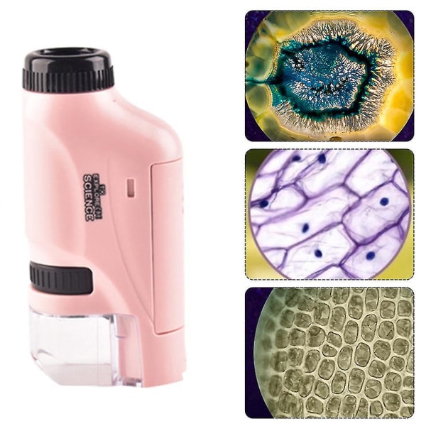 Mikroskop Bärbart Mini Handhållet Mikroskop 60-120x Mikroskop LED-ljus för studentinlärning Pink