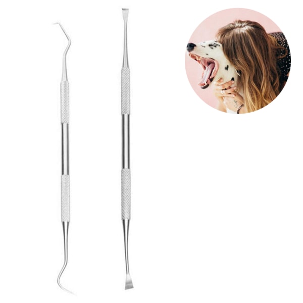 Professionella tandverktyg, tandavskiljare och tandskrapa för hundar