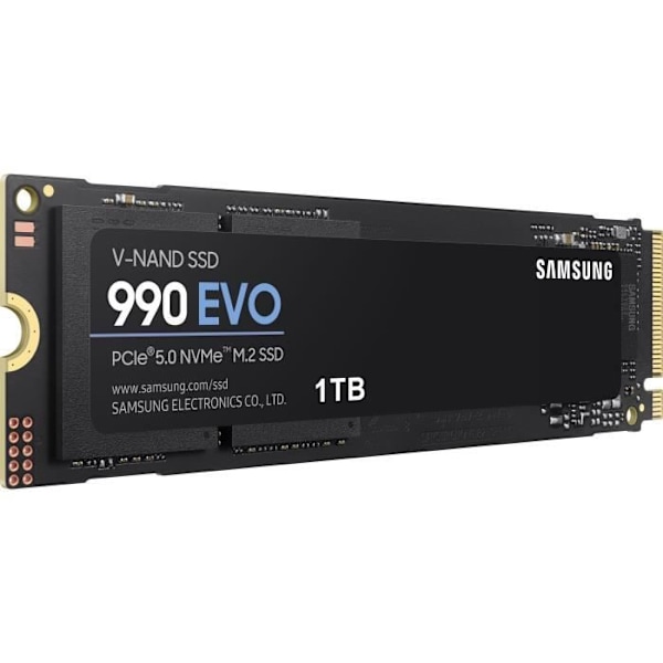 SAMSUNG SSD Intern 990 EVO 1 To NVMe M.2 PCIe 4.0 x 4 - 5000 Mo/s - MZ-V9E1T0BW