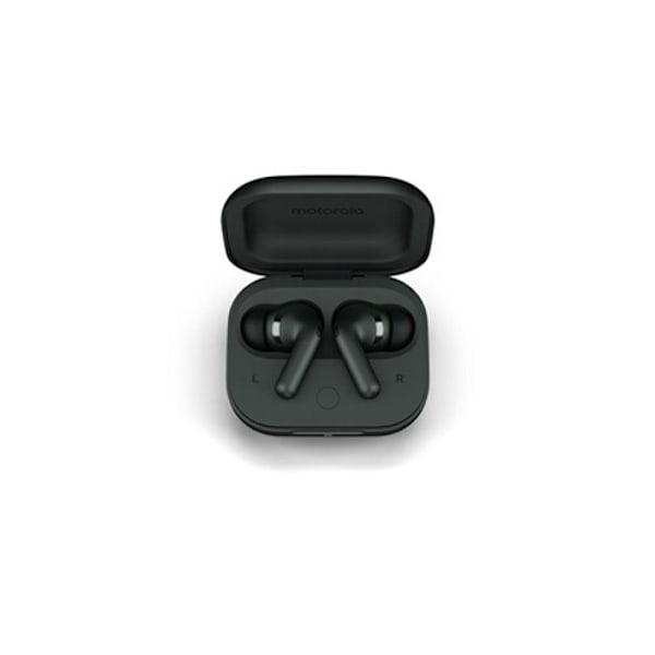 Motorola Moto Buds+ Bluetooth-hörlurar, grå (skogsgrå)