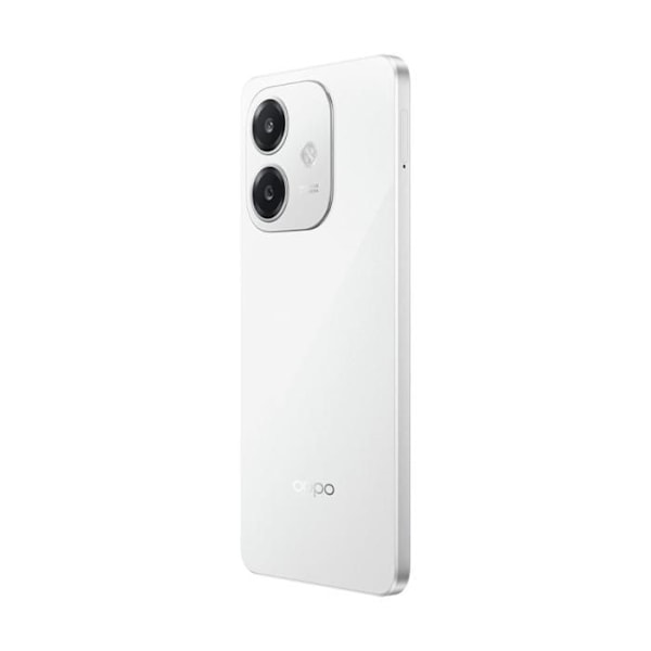 Oppo Smartphone - 256 GB - 6,7 tum - Alla bärare - 2024