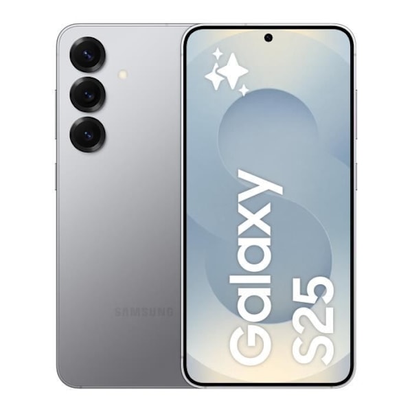 SAMSUNG Galaxy S25 AI Smartphone 256 Go Grå Silver
