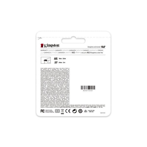 Kingston SDG3/256GB SD-kort minneskort (256GB SDXC Canvas Go Plus 170R C10 UHS-I U3 V30)