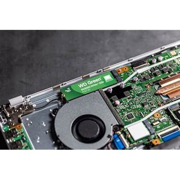 WESTERN DIGITAL - WDS100T4G0E - Intern SSD - Green - SN3000 - NVMe - 1 To