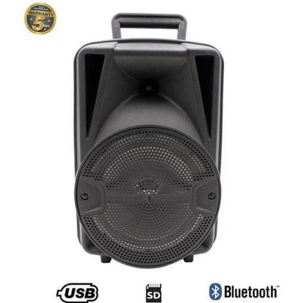 LLX35 Bärbar Bluetooth Trolley Högtalare. Bluetooth-högtalare RGB-lampor, karaoke, USB-SD-spelare och radio. 2400mAh batteri