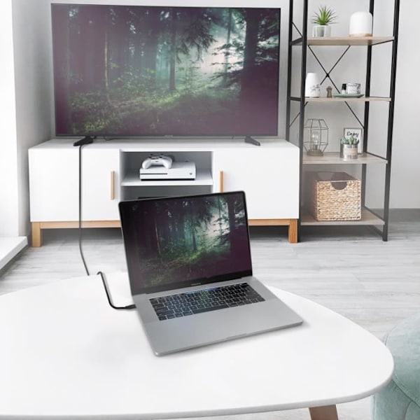 USB-C till HDMI 2.1-konverteringskabel - AISENS - 8K 60Hz - 2 m - Plug and play - Svart