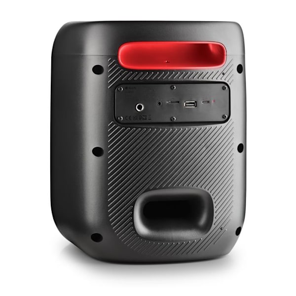 NGS Wild Swag Go: bärbar högtalare 80 W, batteri 10 h och LED-lampor - BT/TWS/USB/TF/AUX IN, mikrofoningång, DSP, svart. Svart