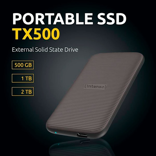 INTENSIV SSD extern TX500 1 To
