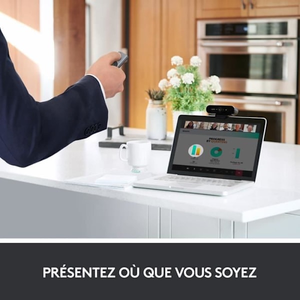 Logitech SPOTLIGHT GREY fjärrkontroll