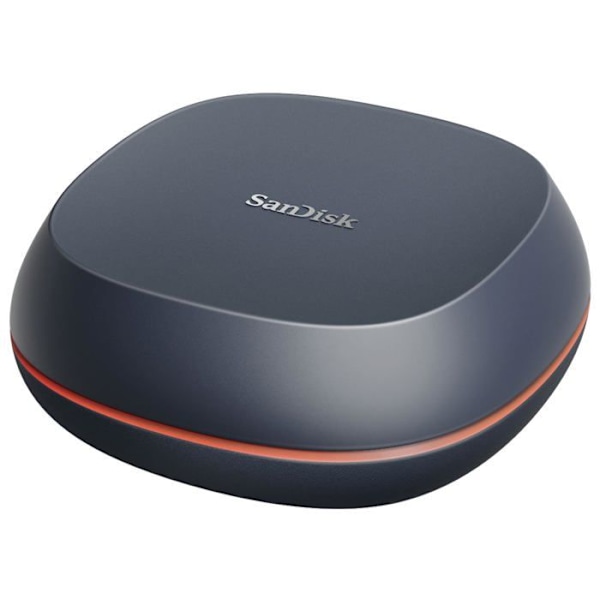 SanDisk Professional Desk Drive