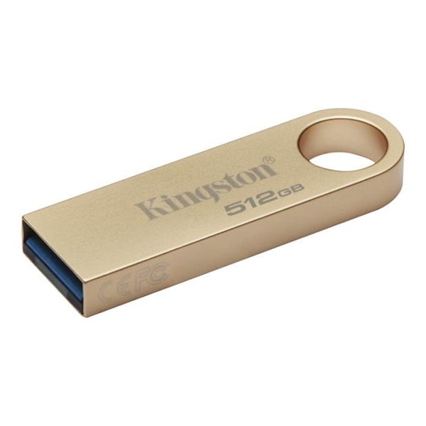KINGSTON 512Go 220Mo/s Metall U