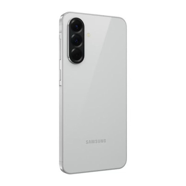 Samsung Galaxy A56 5G 8 Go/256 Go Grå (Fantastiskt Ljusgrå) Dubbel SIM SM-A566