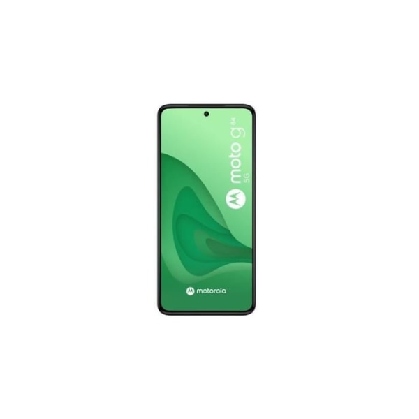 Smartphone Motorola G84 6,5" 5G Dual nano SIM 256 GB Blå