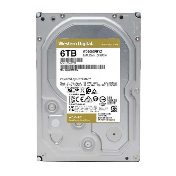 WD Gold WD6004FRYZ - disk
