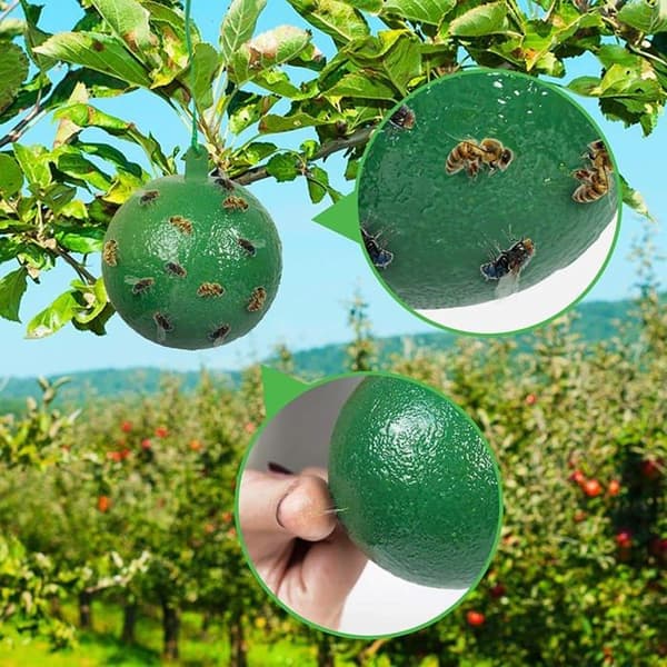 10-pack flugfällor, insektsfällor, fruktflugefällor och 360° runda klibbiga bollar.