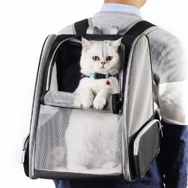 Innovativ boble-rygsæk til katte og hunde (sort)