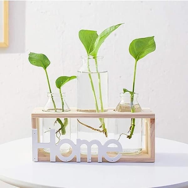 Cylindervas i glas - 3 delar - Stativ i massivt trä - Samtida dekoration - Hydroponik